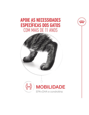 Royal Canin Ageing +11 (Mousse), Gatos, Húmidos, Sénior, Alimento
