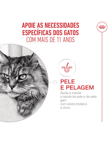 Royal Canin Ageing +11 (Mousse), Gatos, Húmidos, Sénior, Alimento