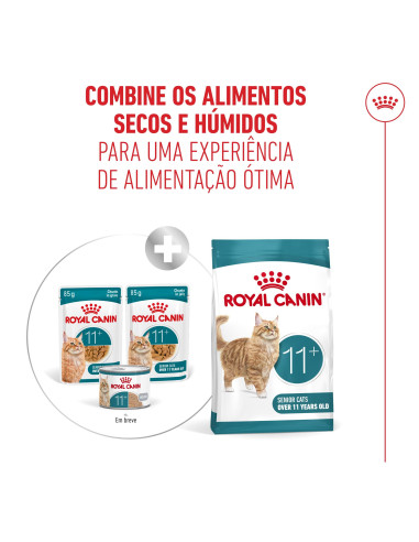 Royal Canin Ageing +11 (Mousse), Gatos, Húmidos, Sénior, Alimento