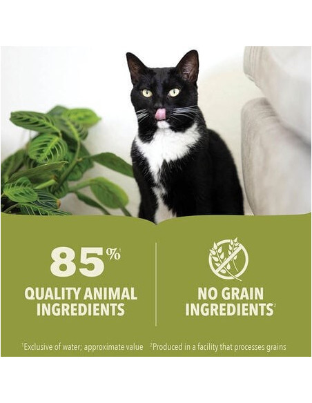 Acana Gato húmidos vaca
