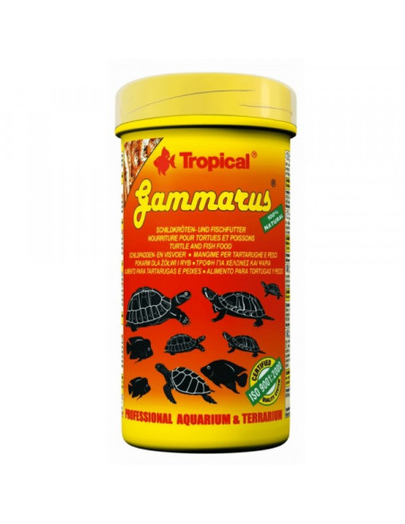 Tropical Gammarus