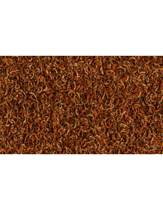 Tetra ReptoDelica Gammarus 2