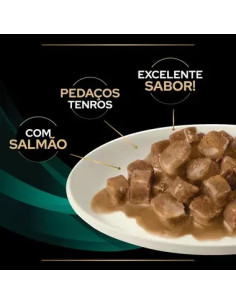 Purina Pro Plan VET Gato Húmidos EN Gastrointestinal Salmão 10x85gr 2