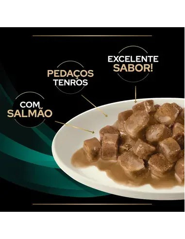 Purina Pro Plan VET Gato Húmidos EN Gastrointestinal Salmão 10x85gr