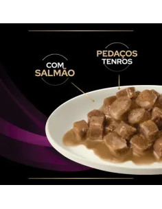 Purina Pro Plan VET Gato Húmidos UR Urinary Salmão 10x85gr 2