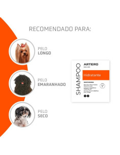Champô Artero Hidratante 5lt 2