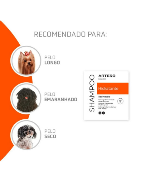 Champô Artero Hidratante 5lt
