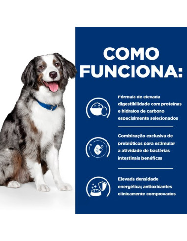 Hill's Science Plan Cão Adulto Perfect Digestion Medium Frango