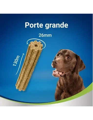 PURINA DentaLife Snack 5x115Gr L