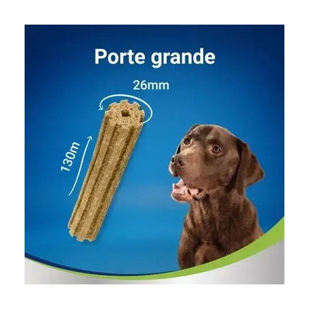 PURINA DentaLife Snack Large 25-40kg (maxi pack 12 sticks)