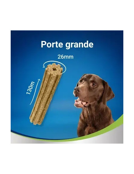 PURINA DentaLife Snack Large 25-40kg (maxi pack 12 sticks)