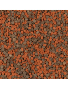 Tropical Cichlid Chips 250ml 2