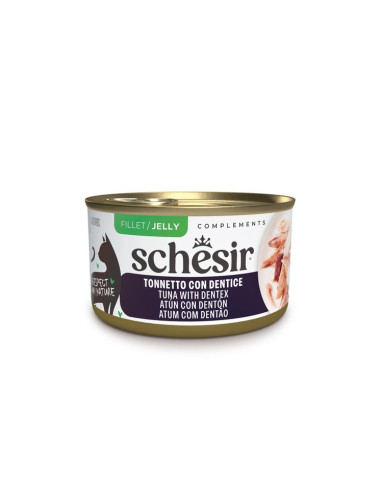 Schesir Gato Húmidos in jelly Atum com Dentão
