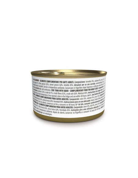 Schesir Gato Húmidos in jelly Atum com Lulas