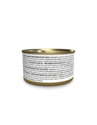 Schesir Gato Húmidos in jelly Atum com Charuteiro