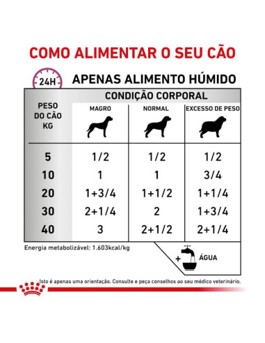 Royal Canin Veterinary Diet Cão Húmidos Renal Special 400gr