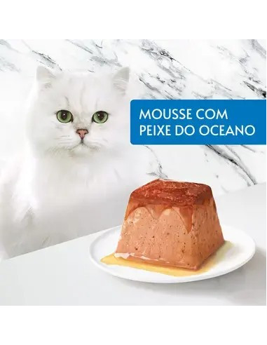 GOURMET Revelations Mousse com Peixe do Oceano e uma cascata de molho