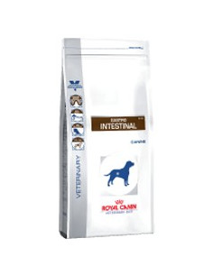Royal Canin Gastro Intestinal 14Kg