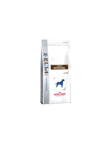 Royal Canin Gastro Intestinal 14Kg