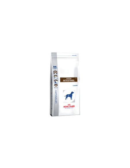 Royal Canin Gastro Intestinal 14Kg
