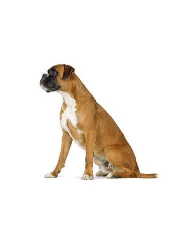 Royal Canin Gastrointestinal Low Fat 12Kg
