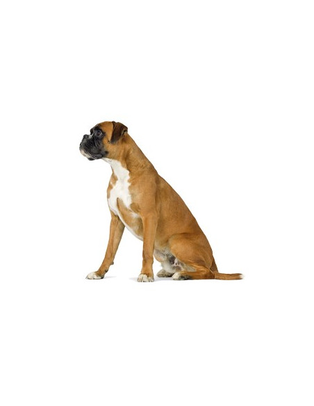 Royal Canin Gastrointestinal Low Fat 12Kg