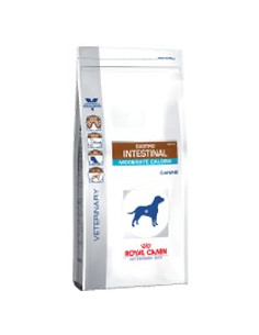 Royal Canin Gastrointestinal Moderate Calorie Cão 14Kg