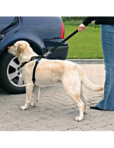 Cinto de Segurança e Peitoral Trixie p/ Cães - Tamanho M (50/70 cm) 2