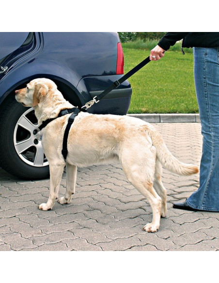 Cinto de Segurança e Peitoral Trixie p/ Cães - Tamanho M (50/70 cm)
