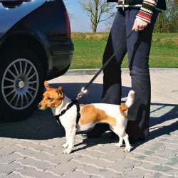 Cinto de Segurança e Peitoral Trixie p/ Cães - Tamanho S (30/60 cm) 2