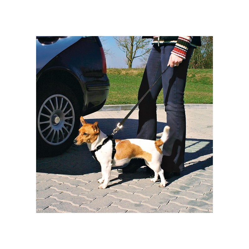 Cinto de Segurança e Peitoral Trixie p/ Cães - Tamanho S (30/60 cm)