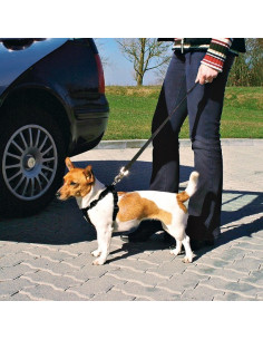 Cinto de Segurança e Peitoral Trixie p/ Cães - Tamanho XS (20/50 cm) 2