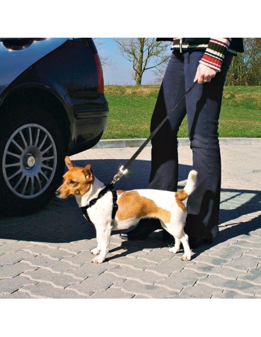 Cinto de Segurança e Peitoral Trixie p/ Cães - Tamanho XS (20/50 cm)