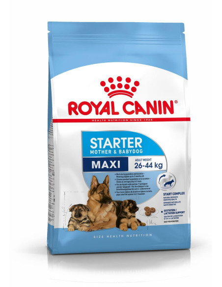 Royal Canin Maxi Starter 4kg