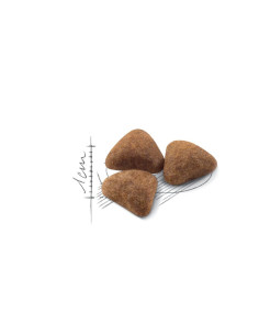 Royal Canin Indoor 27, Gato, Seco, Adulto, Alimento/Ração 2