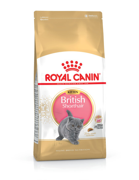 Royal Canin Britsh Shorthair kitten 2Kg