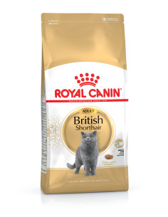 Royal Canin British Shorthair, Gato, Seco, Adulto, British Shorthair, Alimento/Ração