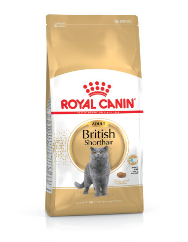 Royal Canin British Shorthair, Gato, Seco, Adulto, British Shorthair, Alimento/Ração