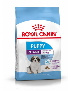 Royal Canin Giant Puppy, Cão, Seco, Cachorro, Alimento/Ração