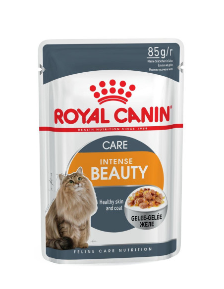 Royal Canin Intense Beauty (Jelly), Gatos, Húmidos, Adulto, Alimento