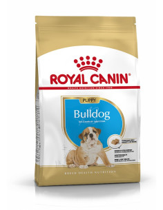 Royal Canin Bulldog, Cão, Seco, Júnior, Alimento/Ração