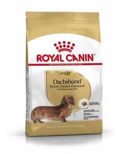 Royal Canin Dachshund 28 1,5kg