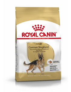 Royal Canin German Shepherd Adult, Cão, Seco, Adulto, Pastor Alemão, Alimento/Ração