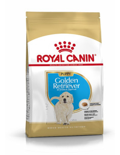 Royal Canin Golden Retriever, Cão, Seco, Júnior, Alimentação/Ração