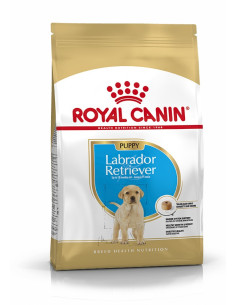 Royal Canin Labrador Retriever, Cão, Seco, Júnior, Alimento, Ração