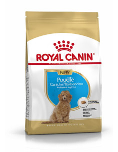 Royal Canin Poodle Junior 33 500g