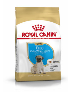 Royal Canin Pug Junior 1,5Kg