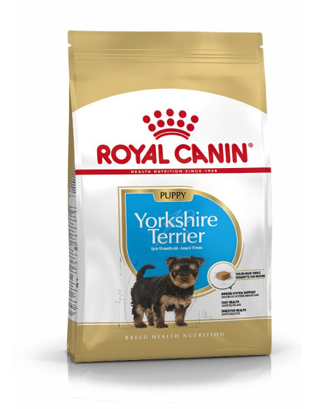 Royal Canin Yorkshire Terrier, cão, Seco, Júnior, Alimento/Ração