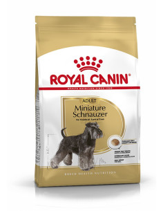 Royal Canin Miniature Schnauzer Adult, Cão, Seco, Adulto, Alimento/Ração