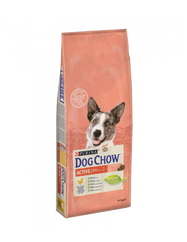 Purina Dog Chow Active Frango